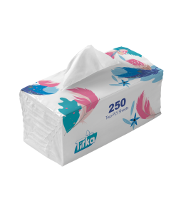دستمال 250 برگ اقتصادی طرح پر